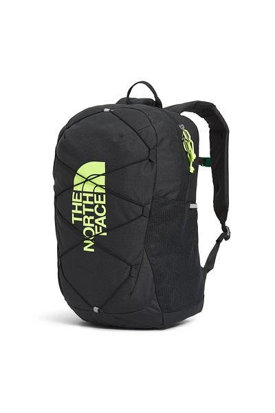 THE NORTH FACE Batoh Y Court Jester