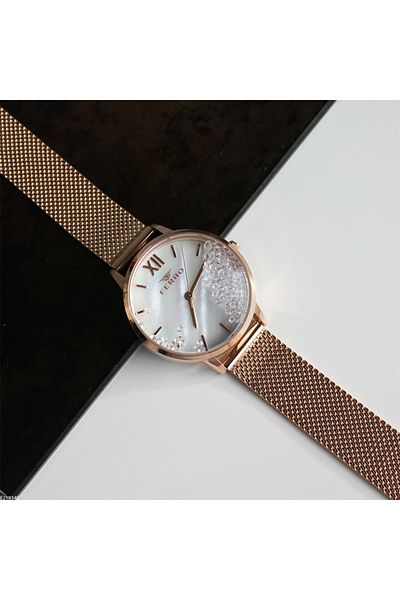 FERRO F21934c Women's Wristwatch