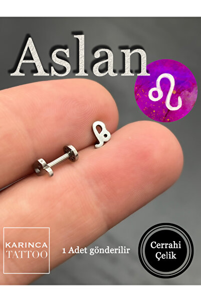 Karınca Piercing Burç Sembolleri Zodiac Kulak Tragus Helix Kıkırdak Piercing ...