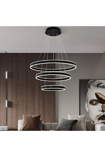 ZR AYDİNLATMA Siyah 4000k Işık Rengi, Kumandalı Ø100-80-60cm Çember Led Lamba