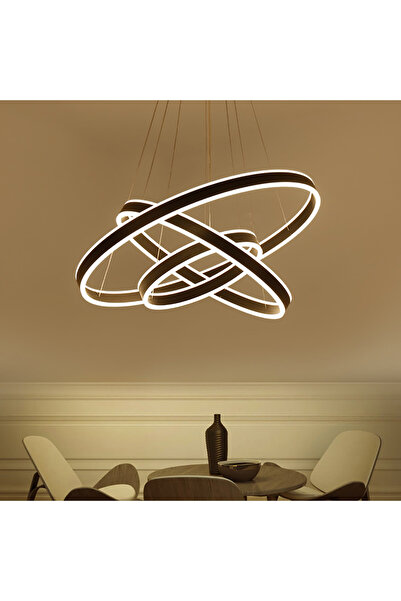 ZR AYDİNLATMA Siyah 4000k Işık Rengi, Kumandalı Ø100-80-60cm Çember Led Lamba