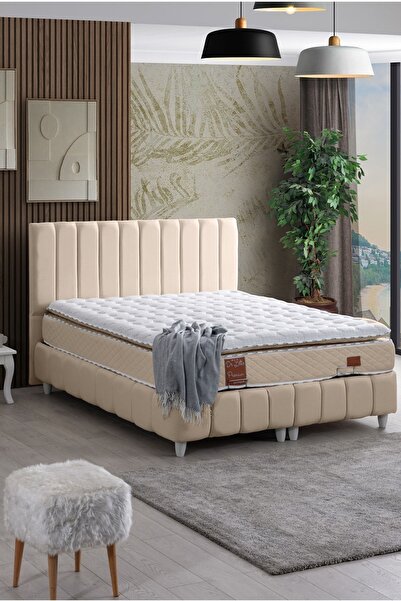 Setay Narva Baza Başlık Set