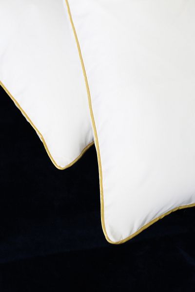 DNR Home Gold Piping Goose Feather Decorative Throw Pillow Inner Padding Pillow - 50X50 cm Comfortable Pillow