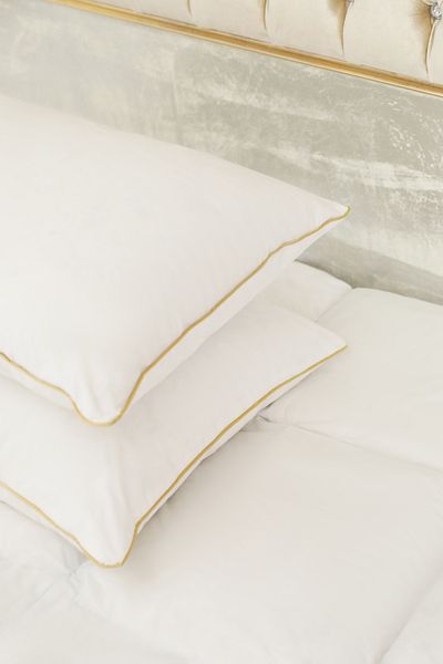 DNR Home Gold Piping Goose Feather Decorative Throw Pillow Inner Padding Pillow - 50X50 cm Comfortable Pillow