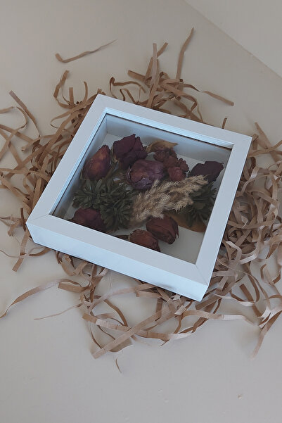 hobicehayaller 20X20X5 cm Memory Frame! New Model Flower Storage Box
