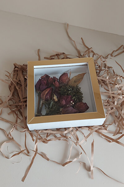 hobicehayaller 20X20X5 cm Memory Frame! New Model Flower Storage Box