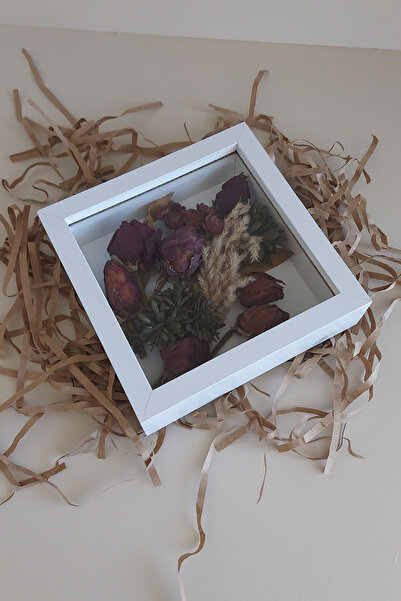 hobicehayaller 20X20X5 cm Memory Frame! New Model Flower Storage Box