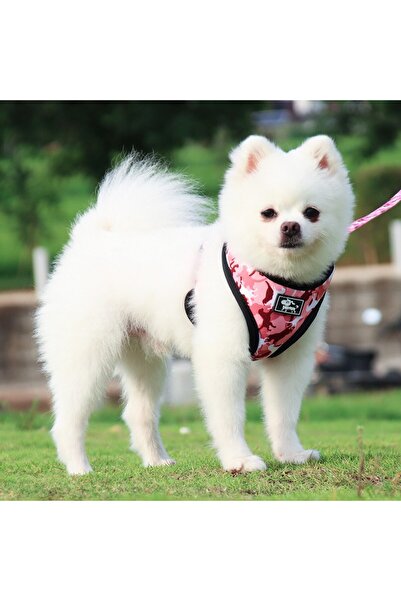 BUSHOP Dog Harness Running Set Four-Piece Set S Brown