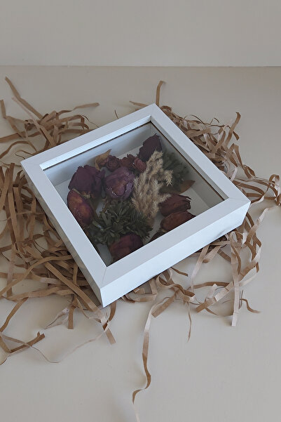 hobicehayaller 20X20X5 cm Memory Frame! New Model Flower Storage Box