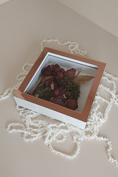 hobicehayaller 20X20X5 cm Memory Frame! New Model Flower Storage Box