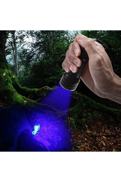 harry 2 Adet Uv Işınlı 21 Led Hayvan Dışkı Bakteri Para Kontrol Ultraviyole mor Işıklı Metal El Feneri