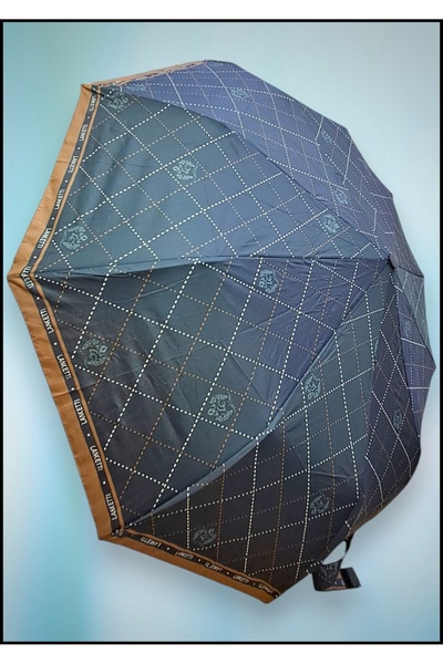 Rainwalker Fiber Gövde Otomatik Rüzgarda Kırılmayan 10 Telli Şemsiye