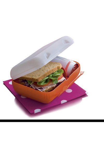 Tupperware Lunch Box
