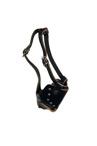 BilfolD طوق فم للكلاب من كراميل، سميك للغاية، مقاس XL، 34 سم، أسود