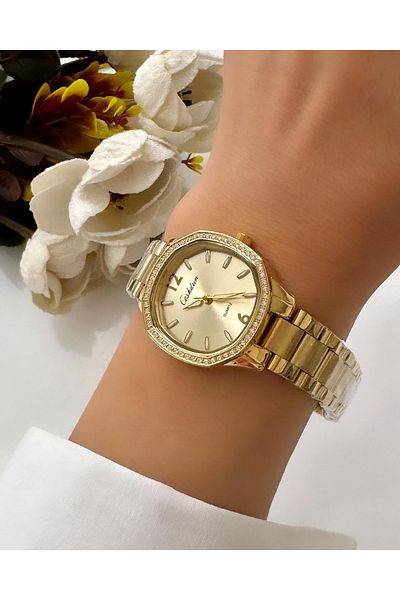 Forsining -Ceshdun-(Gold) Women's Wristwatch-