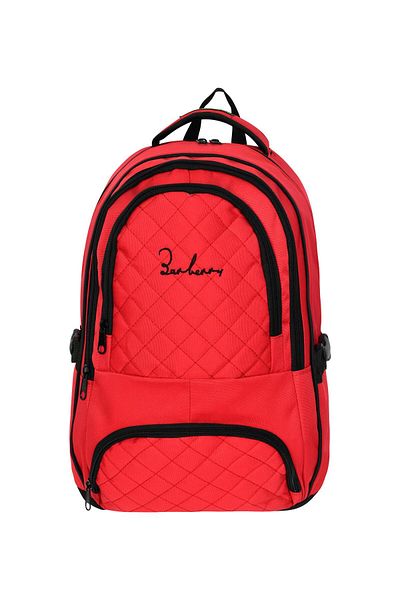STUMBANNG Multi-Purpose Laptop Backpack with Compartment Red