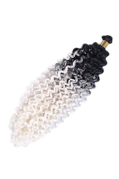 Generic Brand Afro Hair / Black and White Ombre