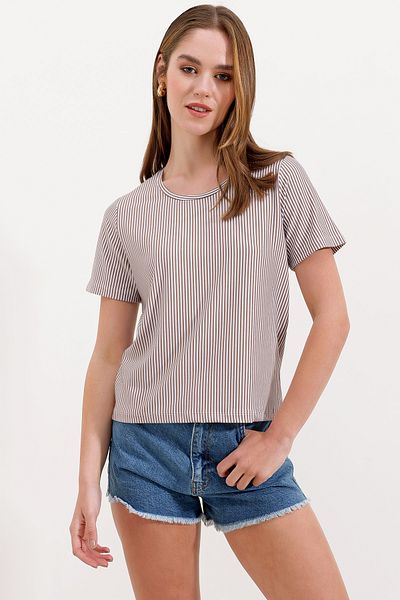 Bigdart 4313 Striped Basic T-Shirt - Brown