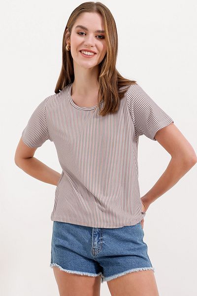 Bigdart 4313 Striped Basic T-Shirt - Brown