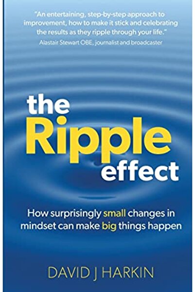 Ingram Internatıonal Inc تأثير التموج