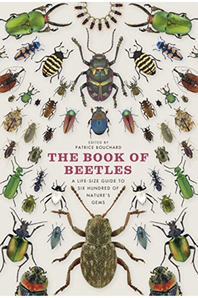 Ingram Internatıonal Inc كتاب الخنافس دليل بالحجم الطبيعي لستمائة من جواهر ال...