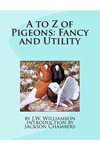 Ingram Internatıonal Inc من الألف إلى الياء في عالم الحمام