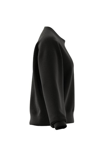 adidas Signature Graphic Print Fleece Loose Sweatshirt