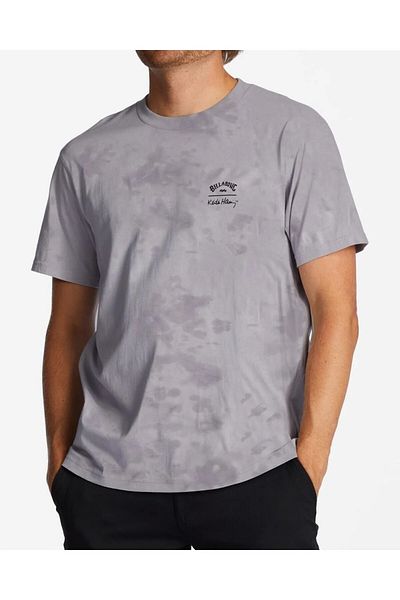 BİLLABONG Billabong Grey Violet Keith Haring Dolphin Dance T-Shirt Abyzt01484-Gvo