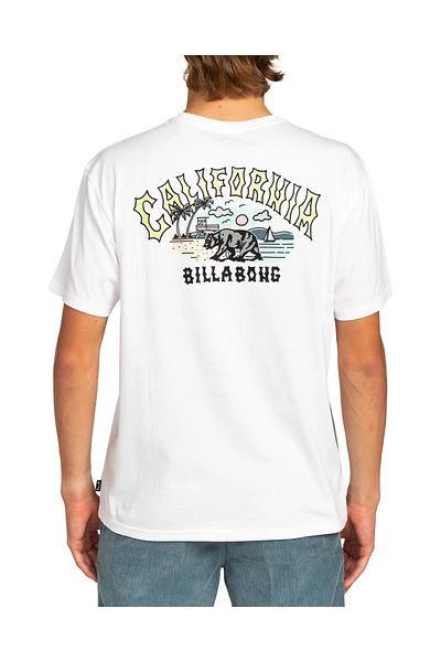 BİLLABONG Billabong Arch Dreamy Place Men's T-Shirt EBYZT00107