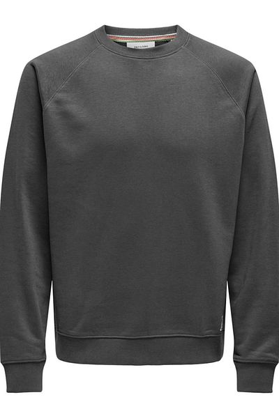 Only & Sons ONSMICHI LIFE - Φούτερ Reg Crew Neck Γκρι 22030618