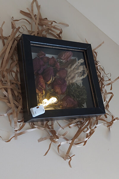hobicehayaller 20x20x5 cm Ledli Anı Çerçevesi! Yeni Model Çiçek Saklama Kutusu