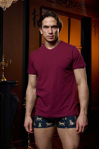 darkzone Ανδρικό μπλουζάκι Basic V-Neck Claret Red