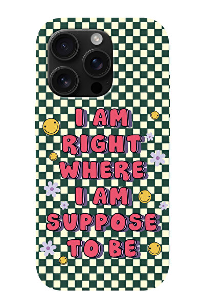 shoptocase iPhone 16 PRO MAX Uyumlu Suppose Desenli İçi Süet Silikon Telefon ...