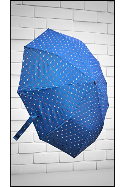 Rainwalker Fiber Gövde Otomatik Rüzgarda Kırılmayan 10 Telli Şemsiye