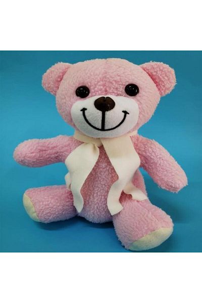 LiderGlobal Pink Plush Toy Teddy Bear Gift