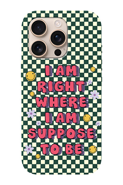 shoptocase iPhone 16 PRO Uyumlu Suppose Desenli İçi Süet Silikon Telefon Kılıfı