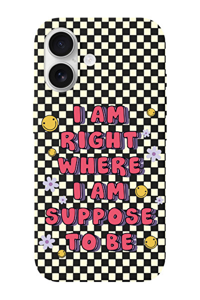 shoptocase iPhone 16 Uyumlu Suppose Desenli İçi Süet Silikon Telefon Kılıfı