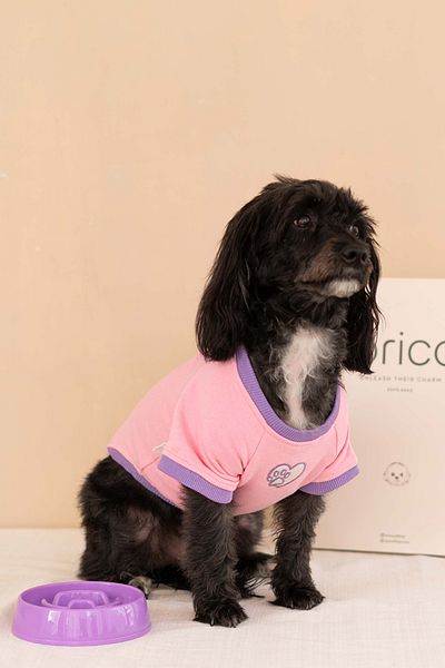 Lorico Dog Thin Sweatshirt (100% Cotton) - Pink - Dog Clothing