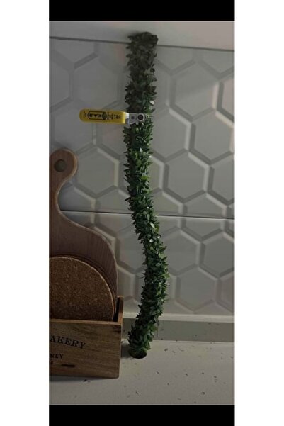 Destanşiir TASARIM Doğalgaz Borusu Gizleme Sarmaşığı 1 Metre – Dış Mekan Sarmaşık Bitkileri – Dış Mekan Sarmaşık Bitki