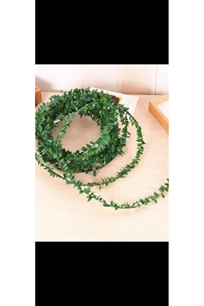 Destanşiir TASARIM Doğalgaz Borusu Gizleme Sarmaşığı 1 Metre – Dış Mekan Sarmaşık Bitkileri – Dış Mekan Sarmaşık Bitki