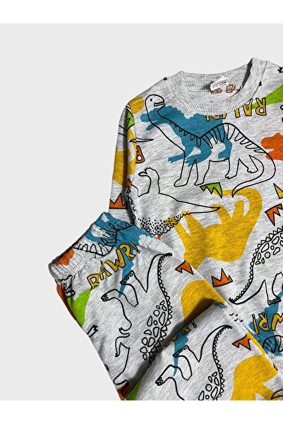 ALİŞ KİDS Set de pijamale sezoniere cu mânecă lungă, din bumbac, gri, cu model de dinozaur
