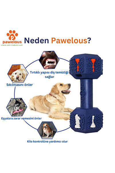pawelous Köpek Oyuncağı - Diş Tartarı Önleyici - Dumbell Medium - 16 Cm
