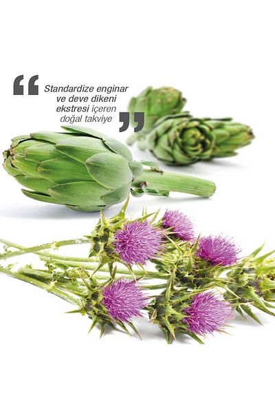 DİNAMİS Dynamis Standardized Extract Artichoke Milk Thistle 60 Capsules