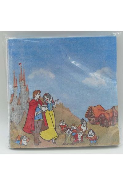 TURKUAZ PARTY 33x33 cm - 20 pcs - Kraft Paper Pecete - Snow White