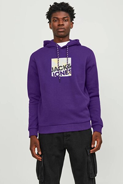 Jack & Jones JCOLOGAN SWEAT HOOD AW23 Violet