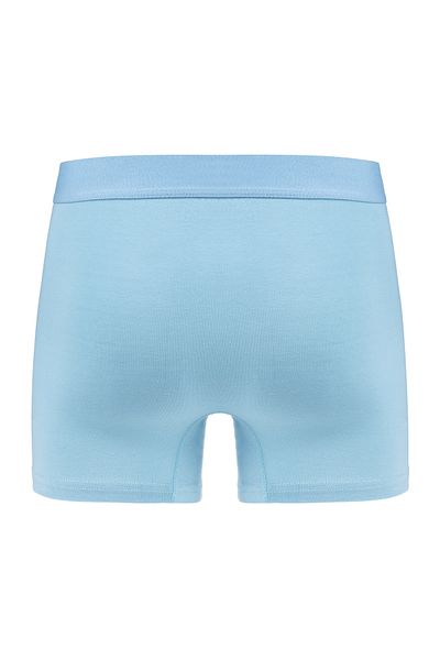 Efsi Boxeri obișnuiți din bumbac Lycra EFSİ - Albastru 3014