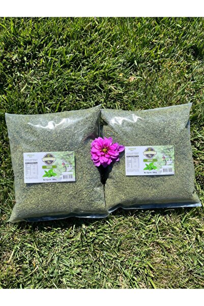 Kg Kurutulmuş Gıda Nane Kurusu ( 2 X 500Gr )