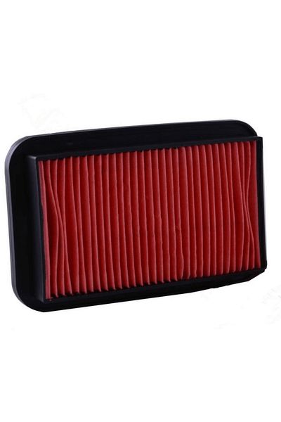 Honda Cb 125E and Cb 125 Ace - Air Filter Element Compatible