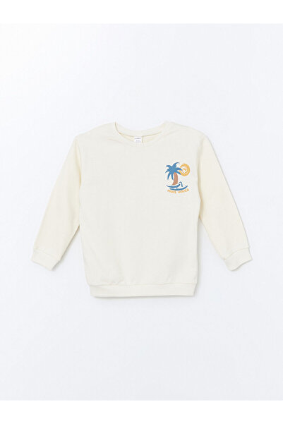 LC Waikiki Lcw Bisiklet Yaka Baskılı Uzun Kollu Erkek Bebek Sweatshirt 2'li