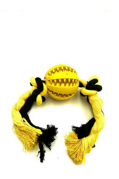 Tasma Market Prize Food Dental Floss Ball with Storage Tank Dog Training Toy